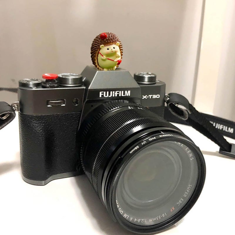 MENGSOOD Camera Hot Shoe Cover, Cute Hot Shoe Cap, Hot Shoe Protector Compatible with Sony Fujifilm Fuji Canon Nikon Pentax Leical Panasonic (2pcs Hedgehog) - Image 2
